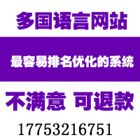 山东乐淘网络分享 莱芜  纺织家纺行业小语种网站建设域名比较靠谱